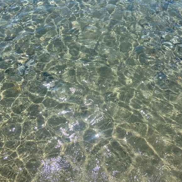 Meet your Posher, Ren - Picture 1 of 1